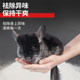 Chong Shangtian Volcanic Ash Chinchilla Bath Sand 2LB Pet Hamster Bath Sand Bath Supplies Bath Sand Bath Salt Blue Cloud Chong Shangtian Volcanic Ash Chinchilla Bath Sand 2LB Pet Hamster Bath Sand Bath Supplies Bath Sand Bath Salt Blue Cloud
