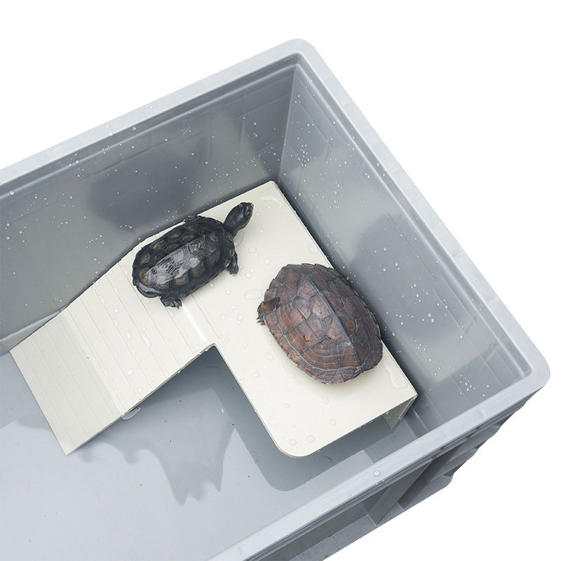 黄缘盒饲养半水养殖箱安缘龟箱台缘龟箱仿生生态鱼缸