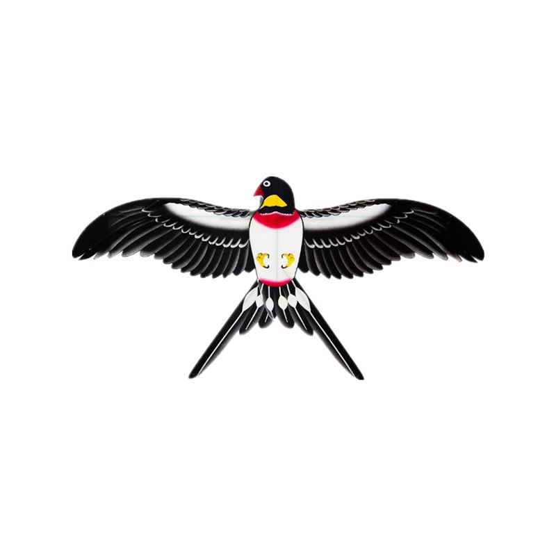 谚语鸟美在羽毛_关于鸟的谚语_谚语鸟被箭射最伤心