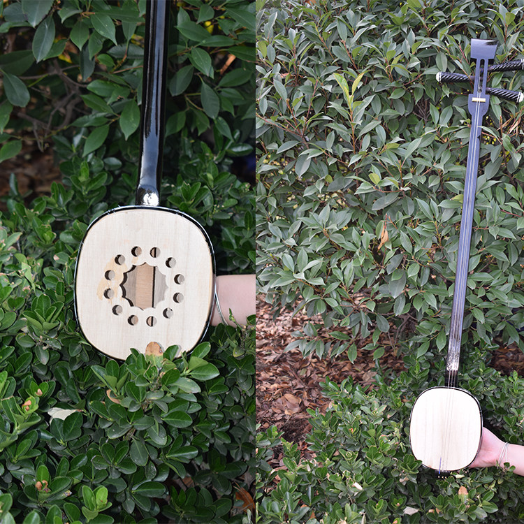 坠胡坠子乐器三弦河南说书坠琴子书拉弦带盒坠琴