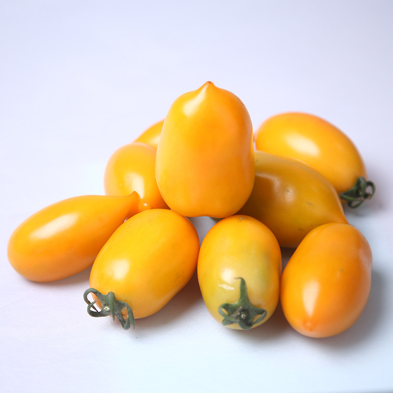东北黄色西红柿子小黄柿子黄色番茄水果柿子4 包邮