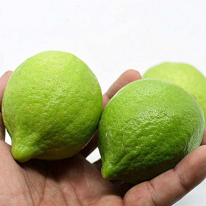 广东香水柠檬无籽5斤新鲜包邮无核西柠香橼手机保护套