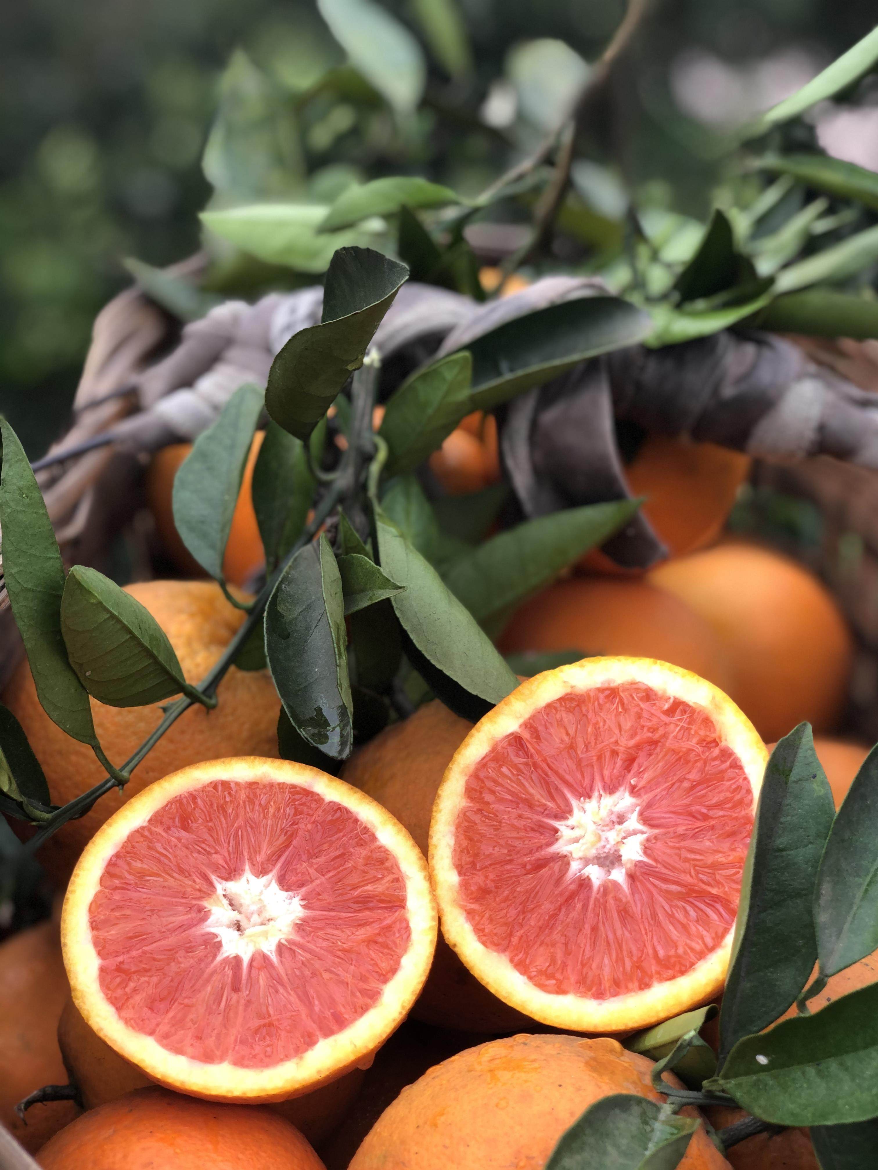 血橙当季水果新鲜现摘红肉脐橙10斤江津卡拉手机保护套