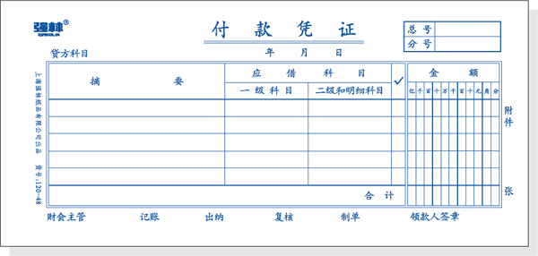 自制付款凭证图片