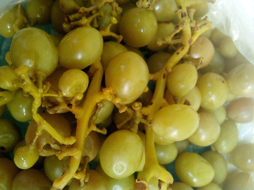 葡萄广西灵山特产酸嘢酸甜酸酸甜甜街头小吃葡萄