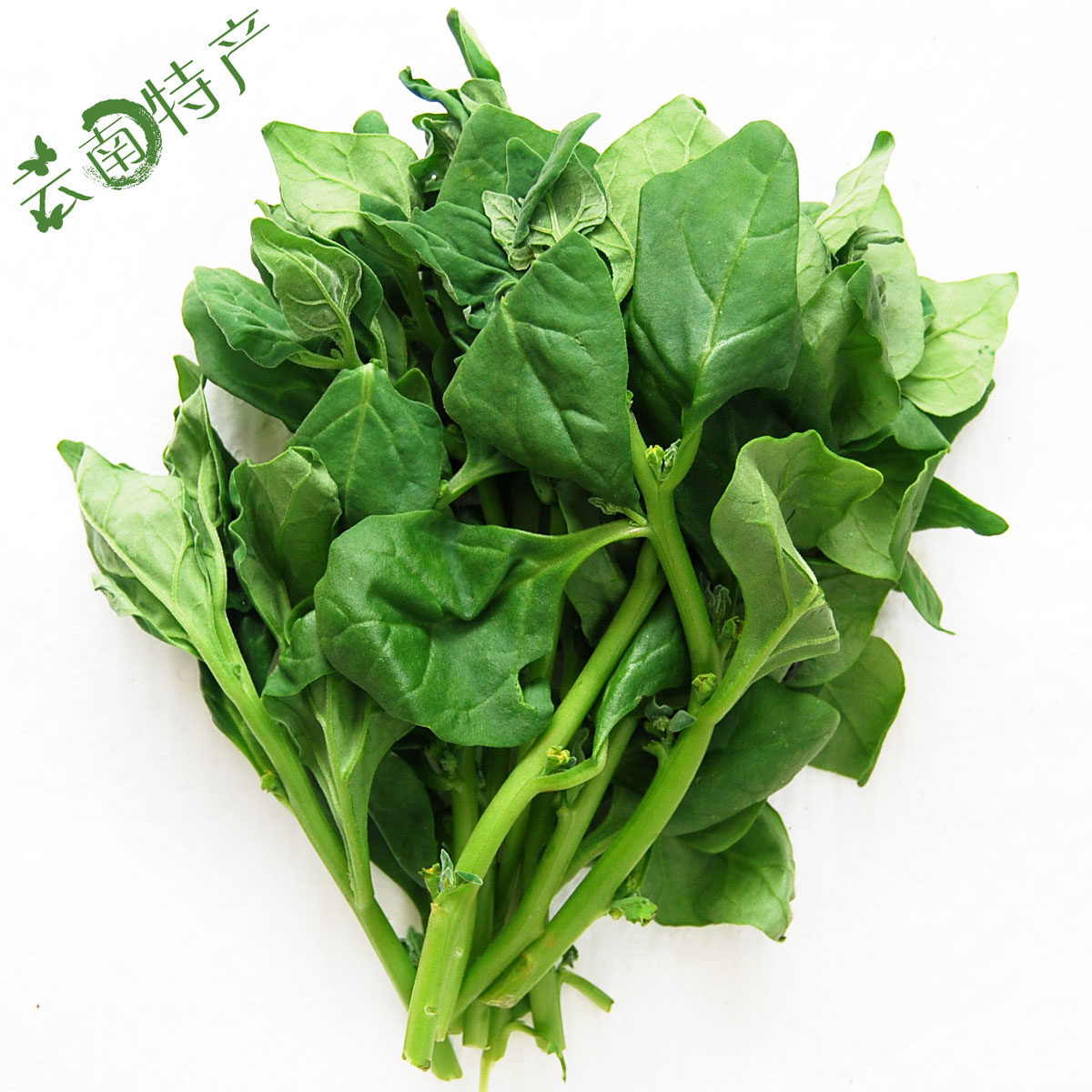 1公斤云南新鲜野菜番杏蕃杏莴苣产地低价直销其它