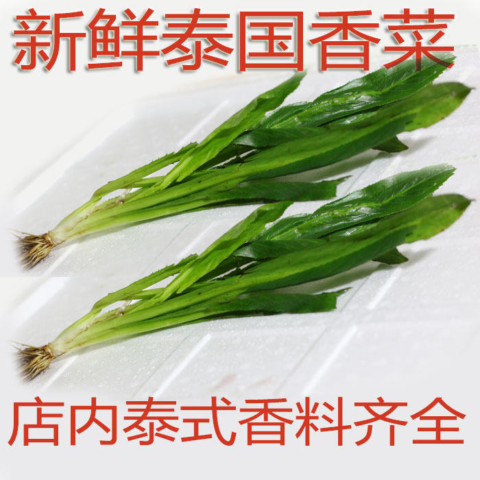 香料云南香菜泰国新鲜南大250g刺芫荽刺其它