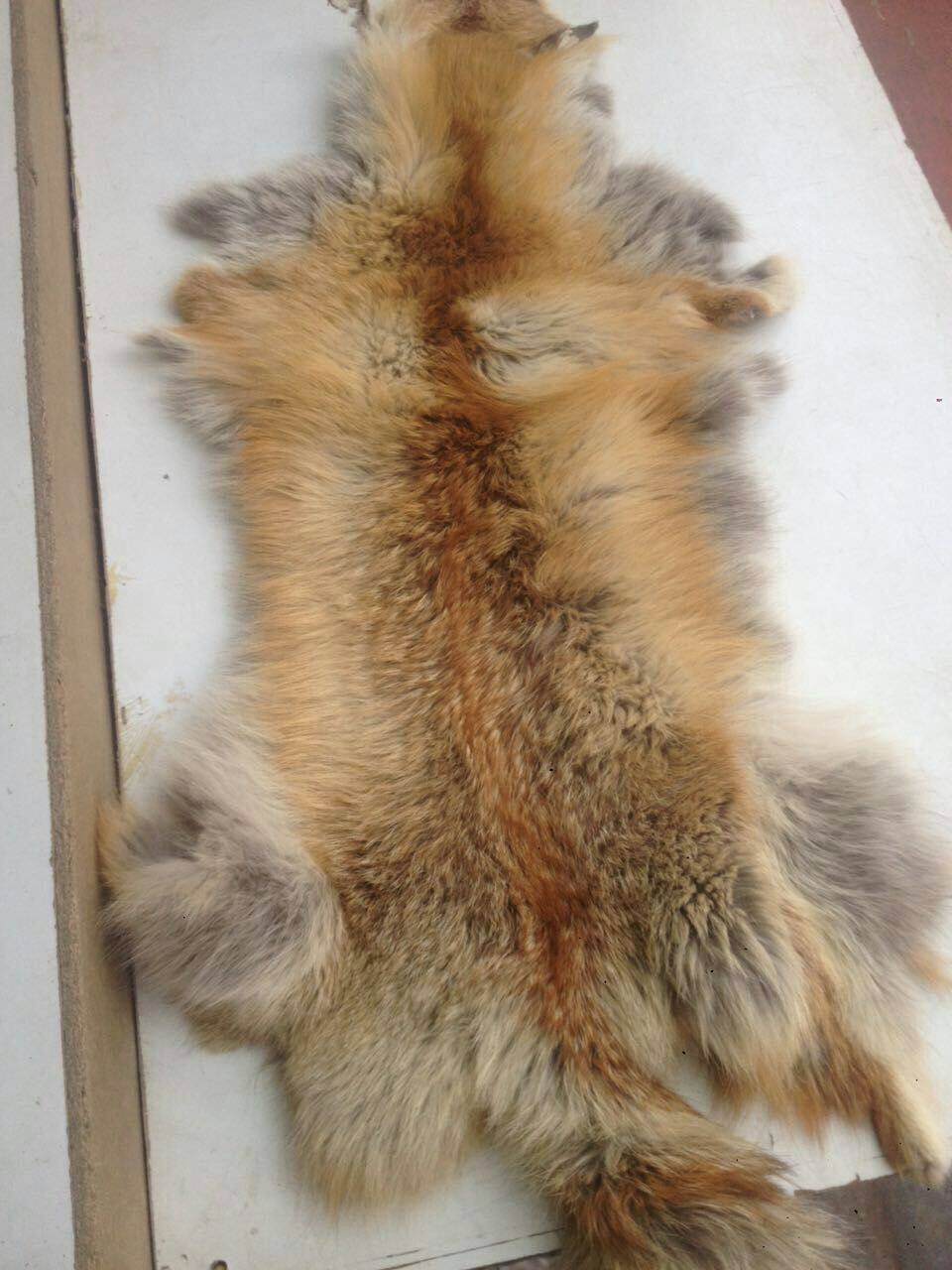 包邮整狐狸皮地毯多绒轻薄柔软地毯