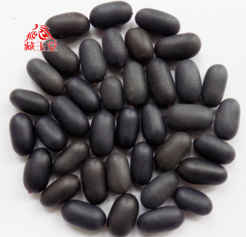 西藏特产双肾250克苦石莲子原货阴阳阳子风流其他药食同源食品