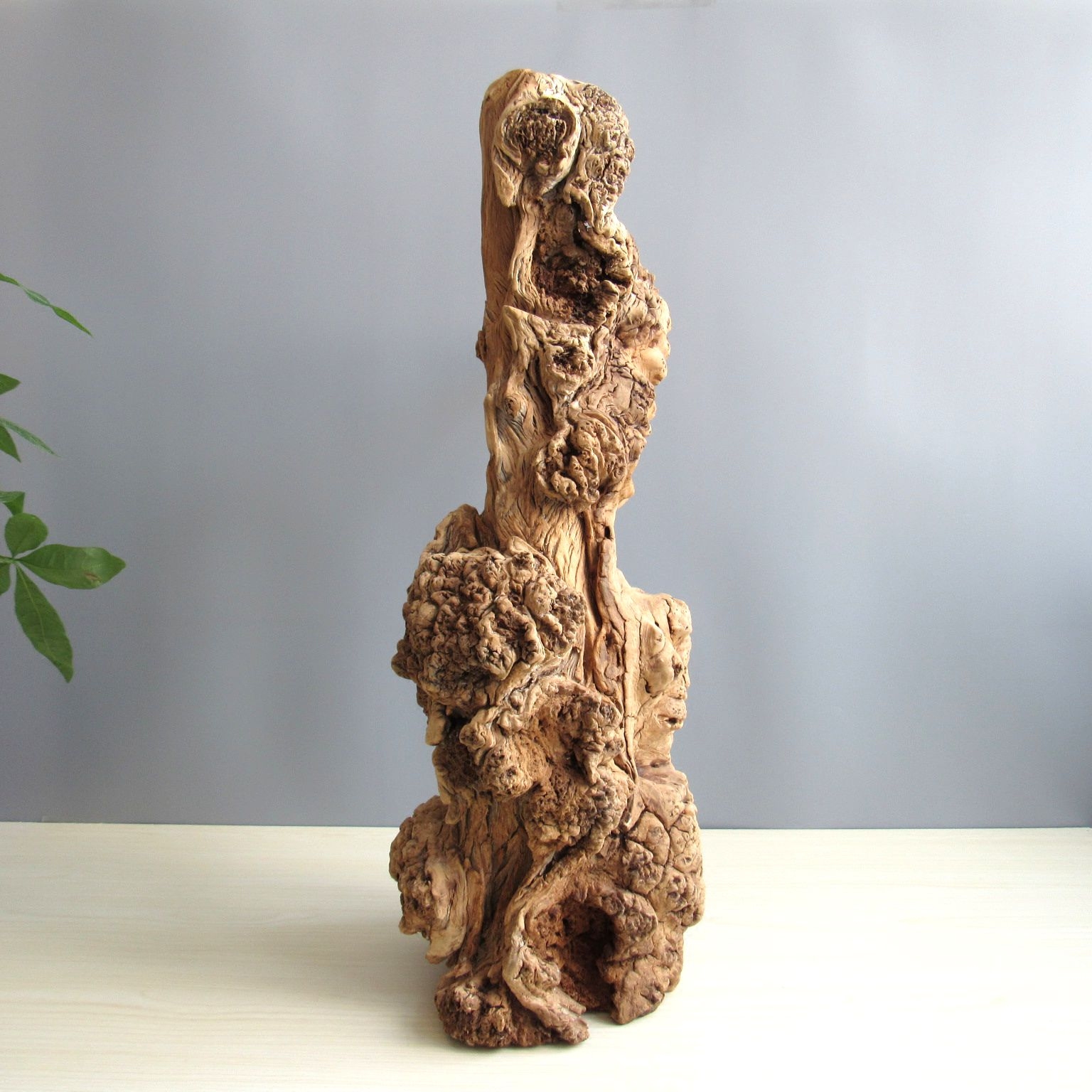 千年枯木禅意办公室家居木随风化古木胡杨木古树摆件