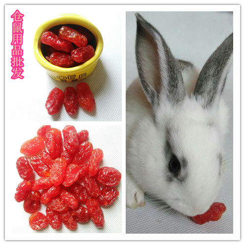 补充樱桃小番茄宠物日常营养50g仓鼠龙猫兔兔兔兔零食