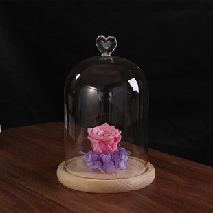 展示玻璃罩直径13cm 永生花玻璃罩古玩手办摆件工艺品防尘玻璃罩