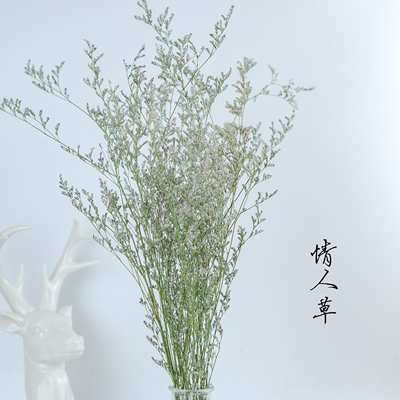 情人草云南自然风干花束家居摆设真花干花干草拍摄道具diy材料