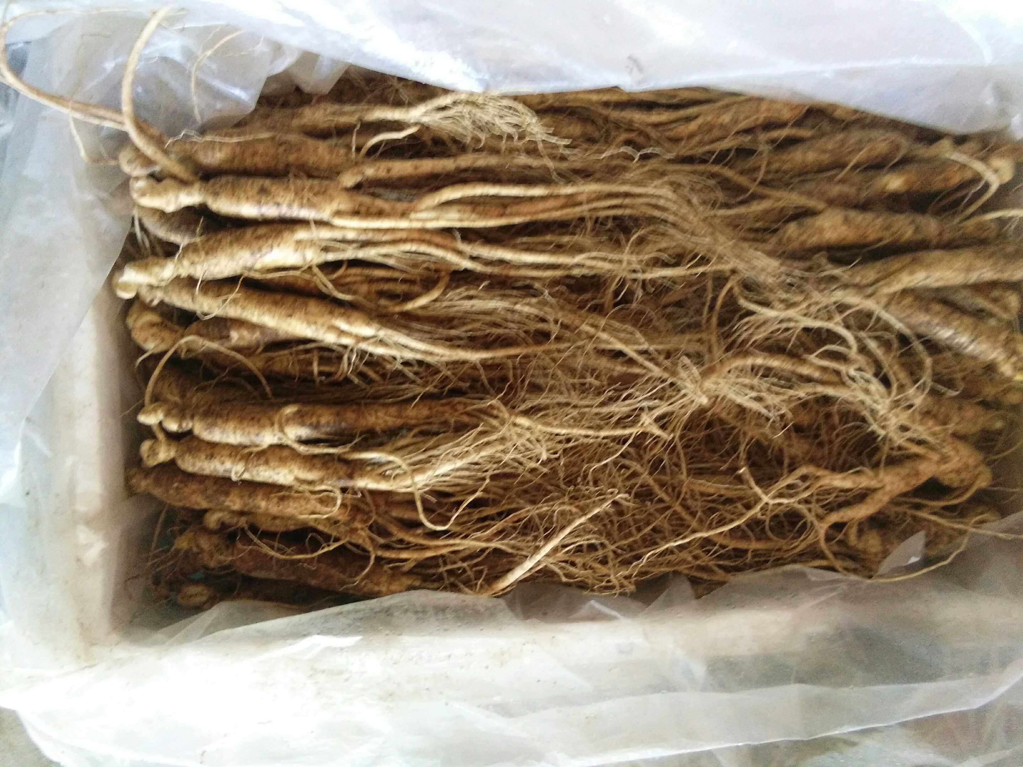 吉林省东北特产长白山新鲜带土人参白参林下参边条人参