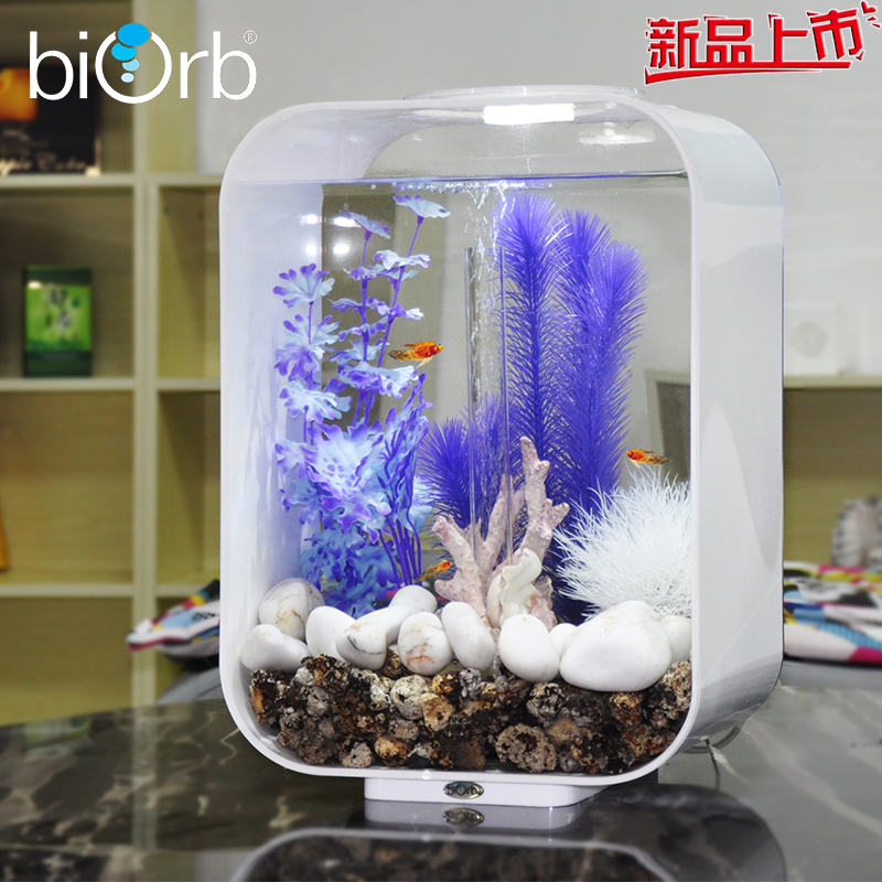 personalized fish tank decorations