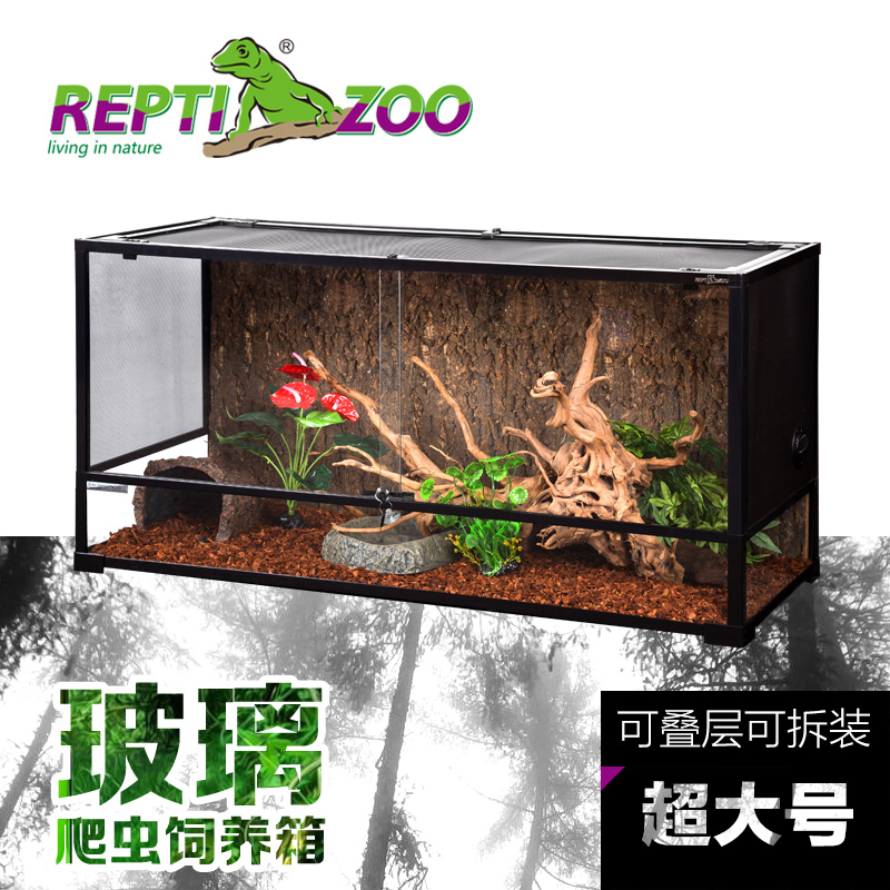 reptizoo glass terrarium