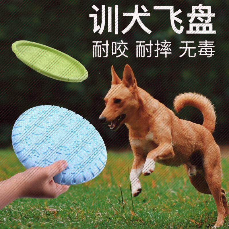 户外狗狗飞盘小型飞碟宠物金毛软体耐摔训犬飞盘