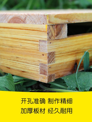 成品巢础巢框中蜂蜂箱养蜜蜂工具蜂巢础养蜂工具中蜂土蜂巢础巢框