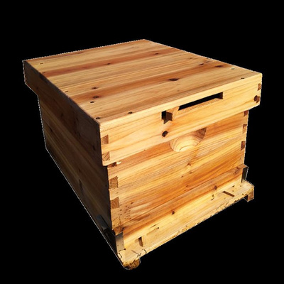 君亿蜂箱中蜂全套烘干杉木双王煮蜡平箱内置巢门蜜蜂箱养蜂工具