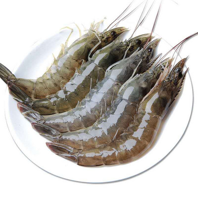 当天海捕青岛天然大虾4斤鲜活海鲜 新鲜白对虾基围虾活虾冷冻生鲜