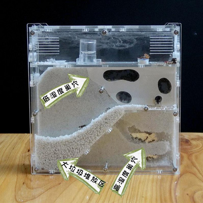 蚂蚁蚂蚁窝城堡观察器装昆虫盒子蚂蚁窝城堡土巢农场工坊王国宠物