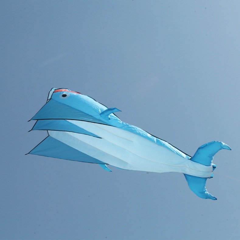 鲸鱼风筝全套安全三角形压线导线女童特别鲤鱼风筝