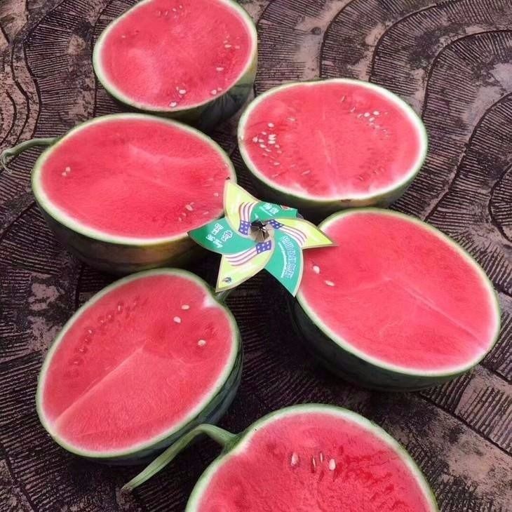 西瓜蜜童无籽新鲜包邮薄皮当季麒麟手机保护套