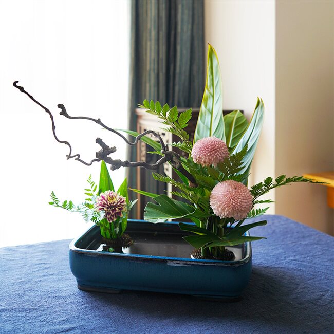 弯曲天然玩赏龙枣枝花材干支花道插花主枝使枝其它园艺用品