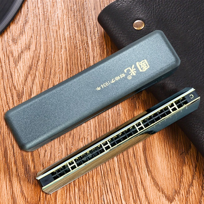 口琴上海24孔回声复音初学者入门成人专业演奏口琴