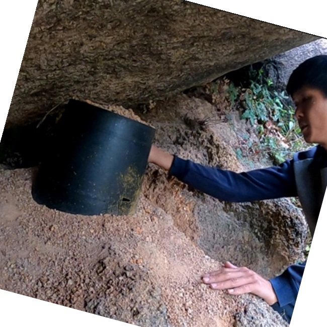 4个装诱蜂桶黑色塑料桶收蜂笼桶野外捕捉蜜蜂养蜂桶引蜂箱中蜂