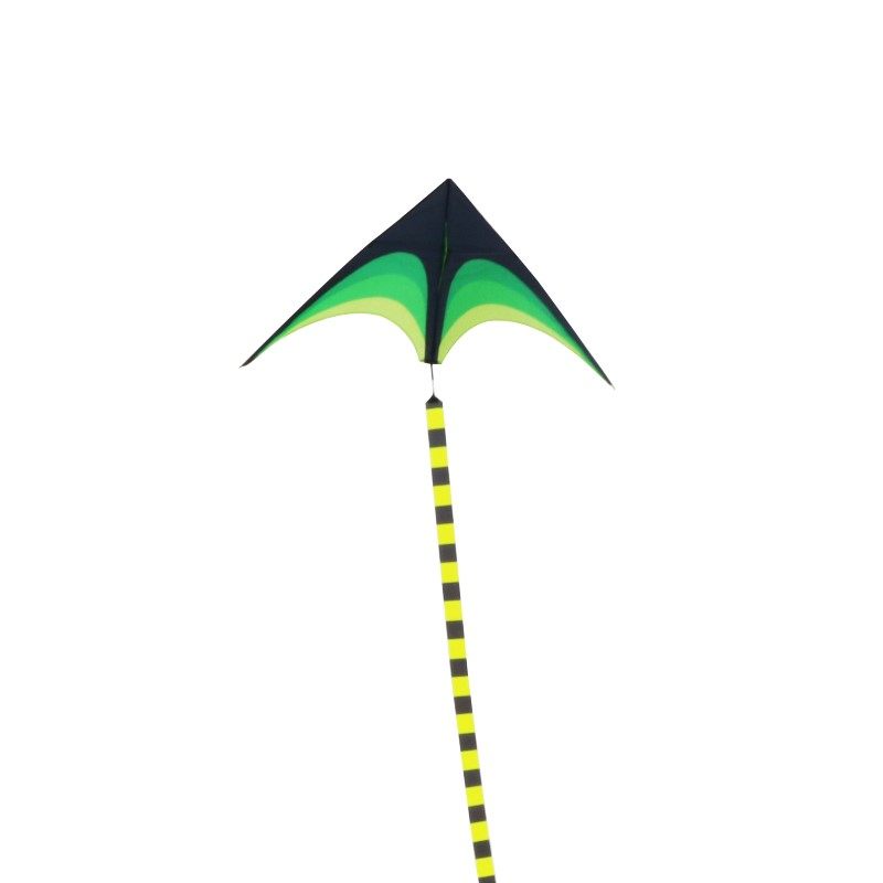 风筝新款大人2021特大易飞尾巴尾飘飘带抗大风筝