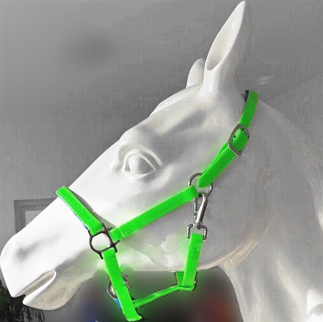 马龙头龙头马术运动马匹装备牵马龙套pvc各种牵马