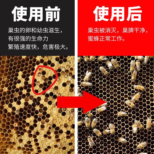 蜂蜜虫病针对巢虫清水剂蜡螟巢虫棉虫中蜂用巢虫清灭灵中蜂巢虫棉