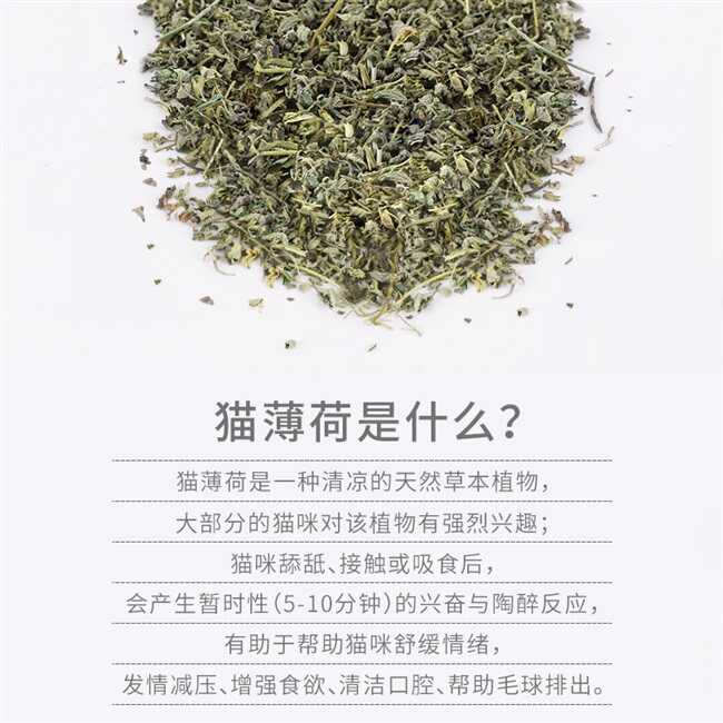 零食猫薄荷粉猫草薄荷叶干猫用化毛去毛清洁口腔猫咪特色零食