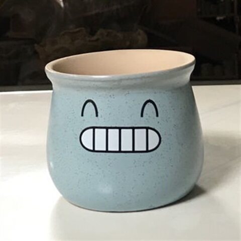 花盆卡通陶瓷可爱造型表情笑脸仙人球多植物花盆