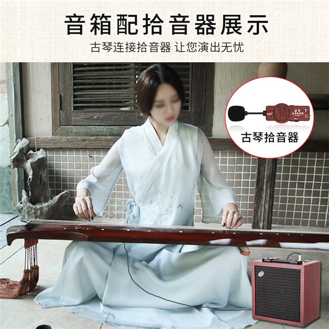 音箱伊诺民乐专用古筝扩音器古琴充电二胡拾音器多功能音箱