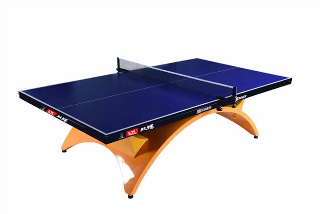 乒乓球彩虹比赛标准双蝶豪华室内用大乒乓球台乒乓球台