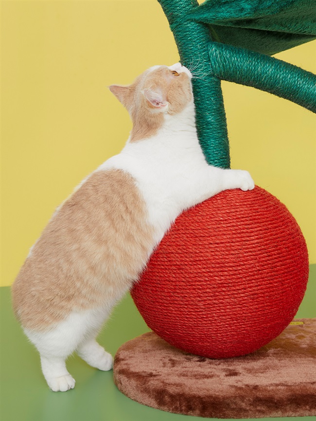 猫咪樱桃猫爬架玩具剑麻耐磨猫架大型猫爬跳台猫爬架