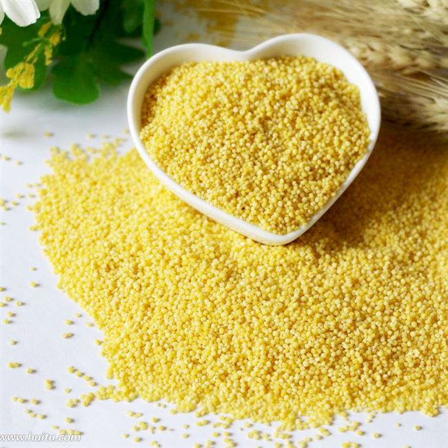 谷子小米鹦鹉饲料无壳鸟粮文珍珠虎皮玄凤营养鸟食