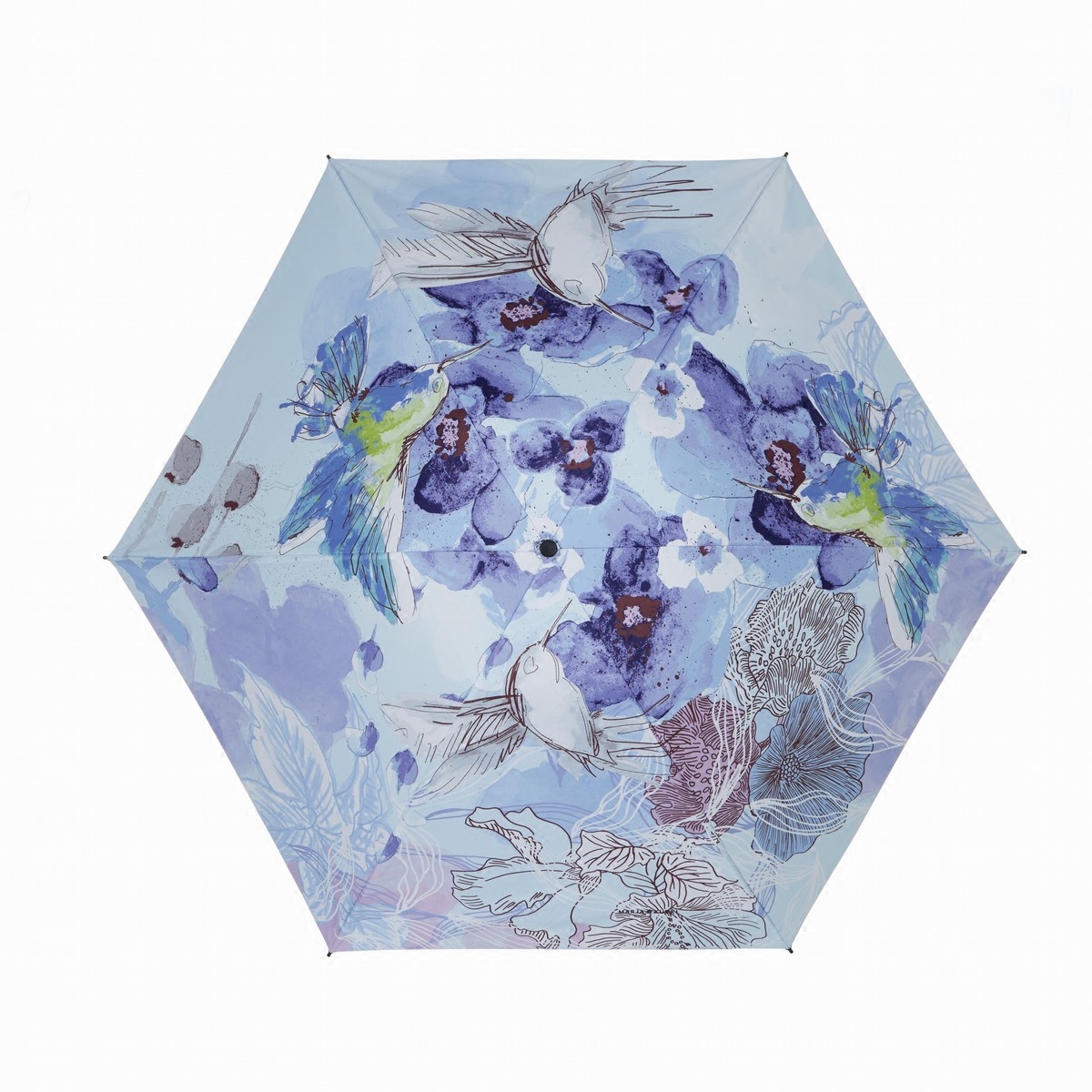 玛丽亚古琦marjakurki五折迷你黑胶折叠遮阳晴雨伞水彩蜂鸟伞