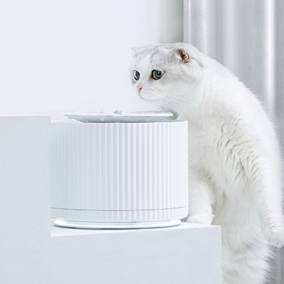 小米猫咪机智能有生态链小澄宠物自动大容量2020饮水器