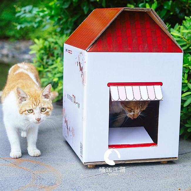 高档八折 请给小流浪一个家!防雨抗风的纸箱流浪猫窝 一组3个猫