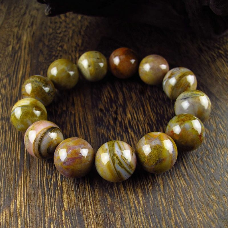 相石缘高玉化18mm天然树化玉木化石手链男手串佛珠手链