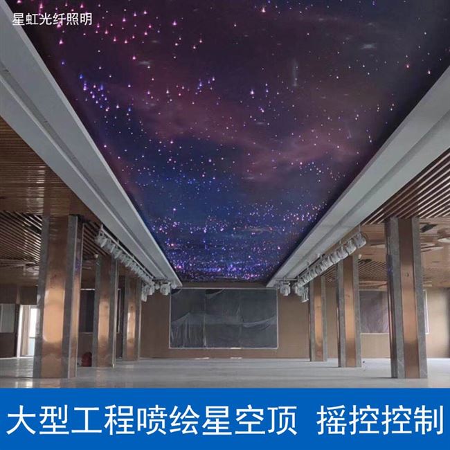 天花板影音led星空顶吊顶满天星光纤灯室ktv影院卧室客厅灯星光顶