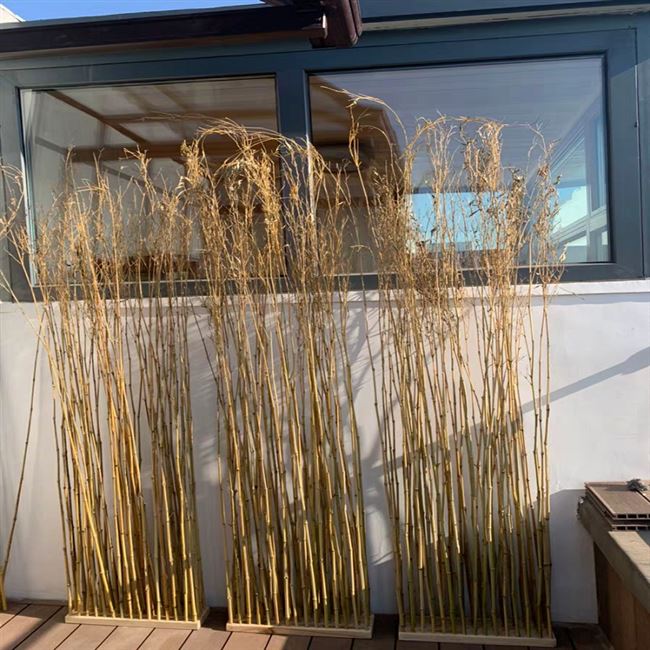 日式竹枝玄关隔断庭院阳台室内外小竹竿装饰座屏大型篱笆