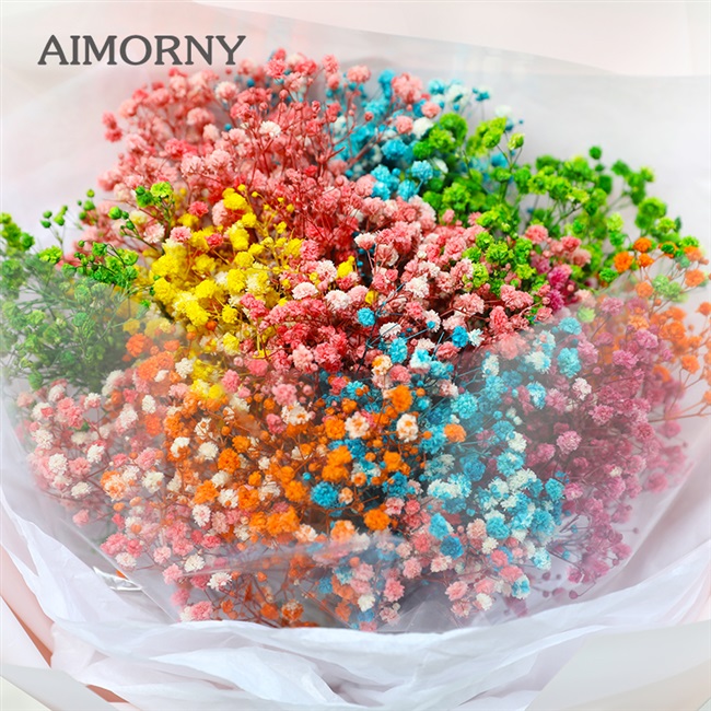 爱梦妮aimorny彩虹满天星干花花束永生花礼盒同城鲜花速递永生花