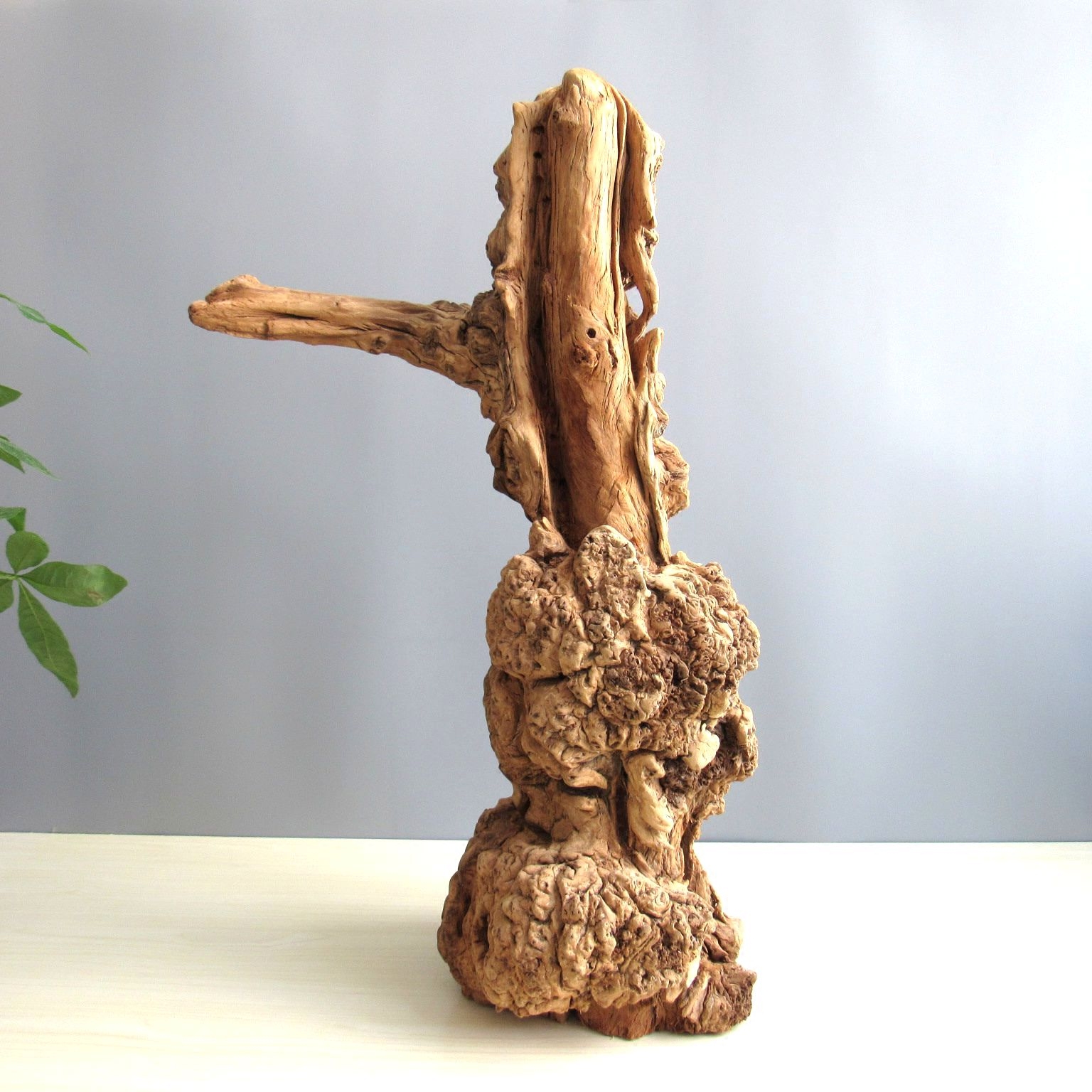 千年枯木禅意办公室家居木随风化古木胡杨木古树摆件