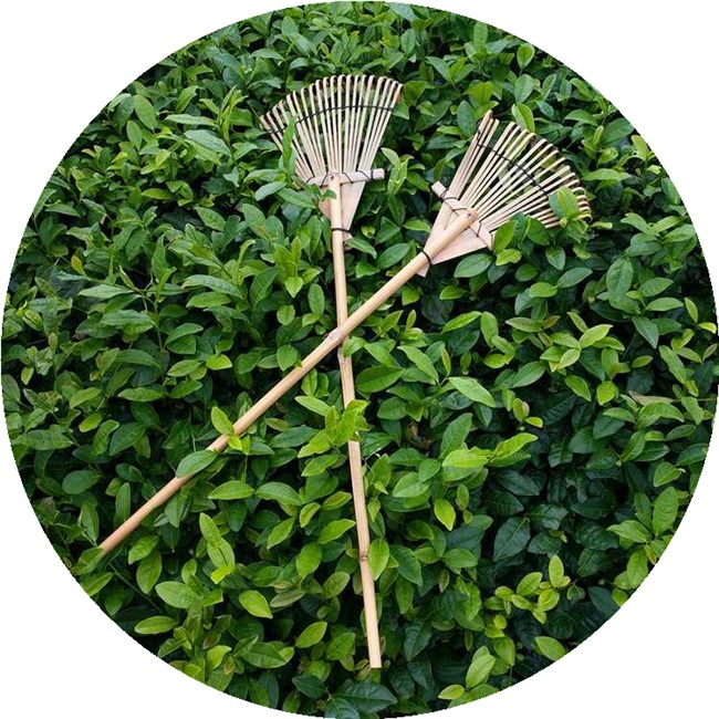 欧洲进口代打油菜籽工具竹子做捞水草神器搂草耙子