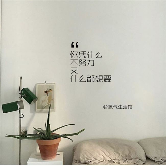 书桌什么教室励志文字墙贴你凭不努力办公室宿舍墙贴