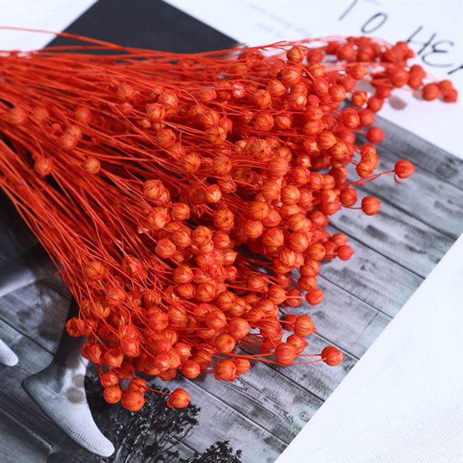 相思豆干花永生花diy材料包富贵豆家居装饰花家居客厅插花真花材